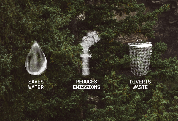 everywhere sustainability infographic with nature background