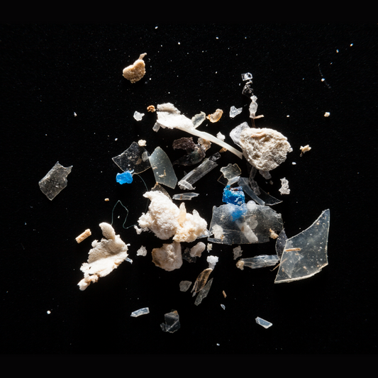 The Facts About Microplastics