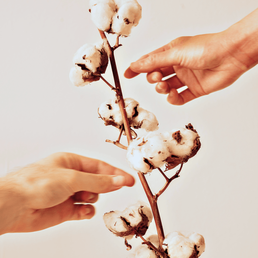Recycled vs. Organic Cotton: Why Recycled Cotton is the Best Choice - Everywhere Apparel